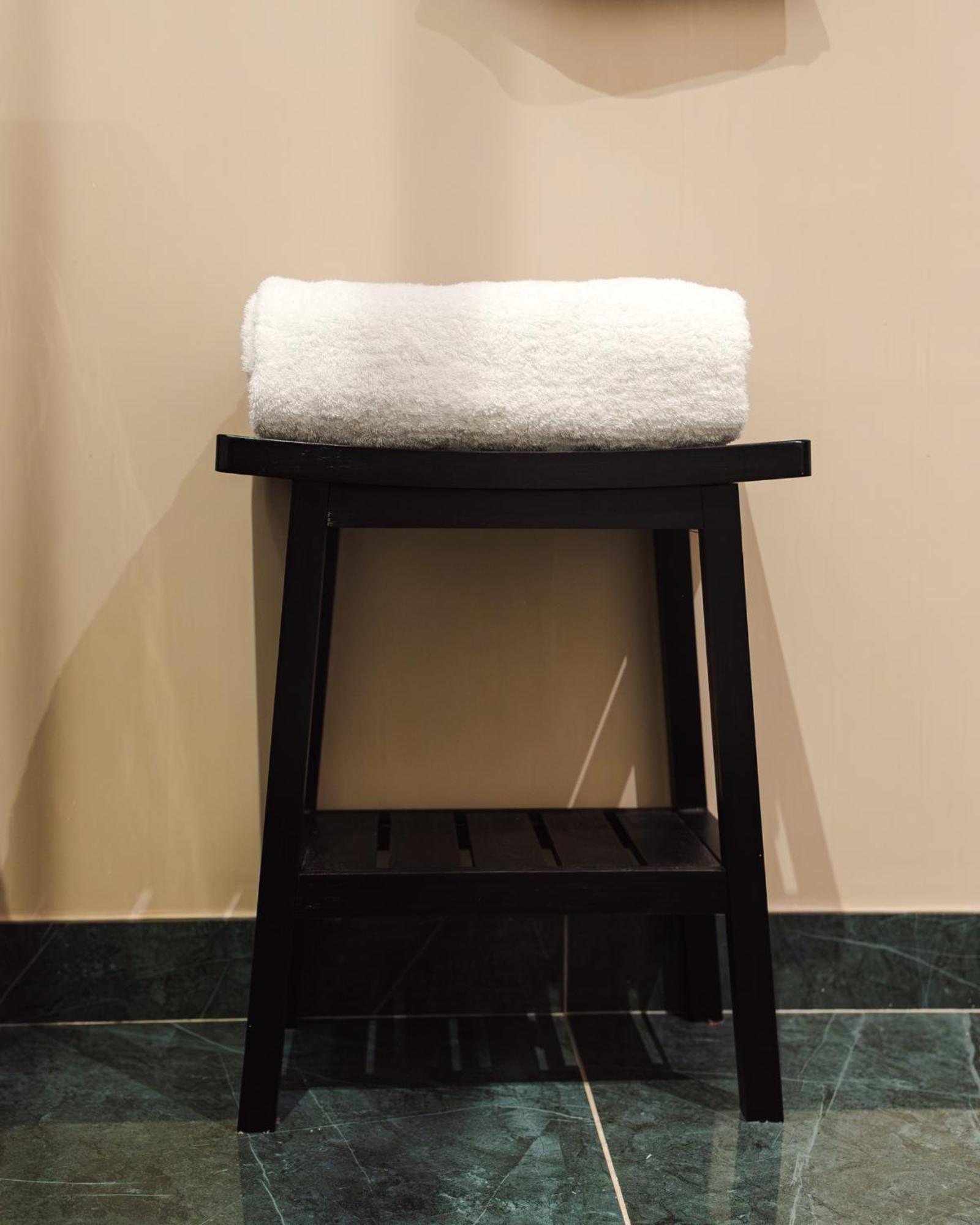 Artemisia Montmartre